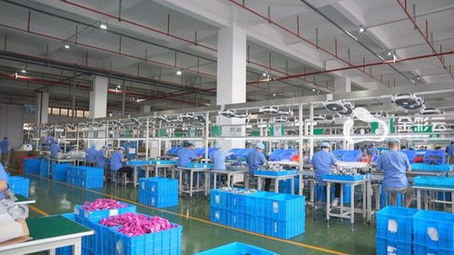 威邦运动 跨越山峦拥抱世界