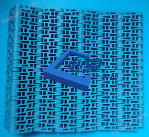 5033塑料网带 节距50.8mm