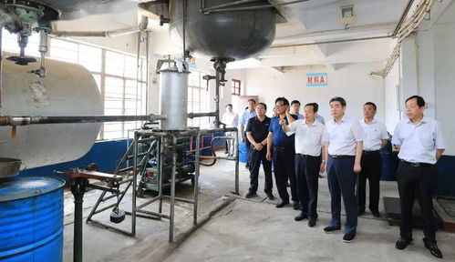 集团领导深入实业公司调研，聚焦转型发展重点