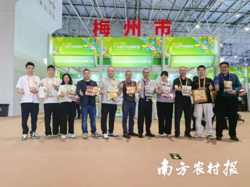 智创未来，AI赋能 蕉岭毛竹品牌焕新，实业公司引领产业升级